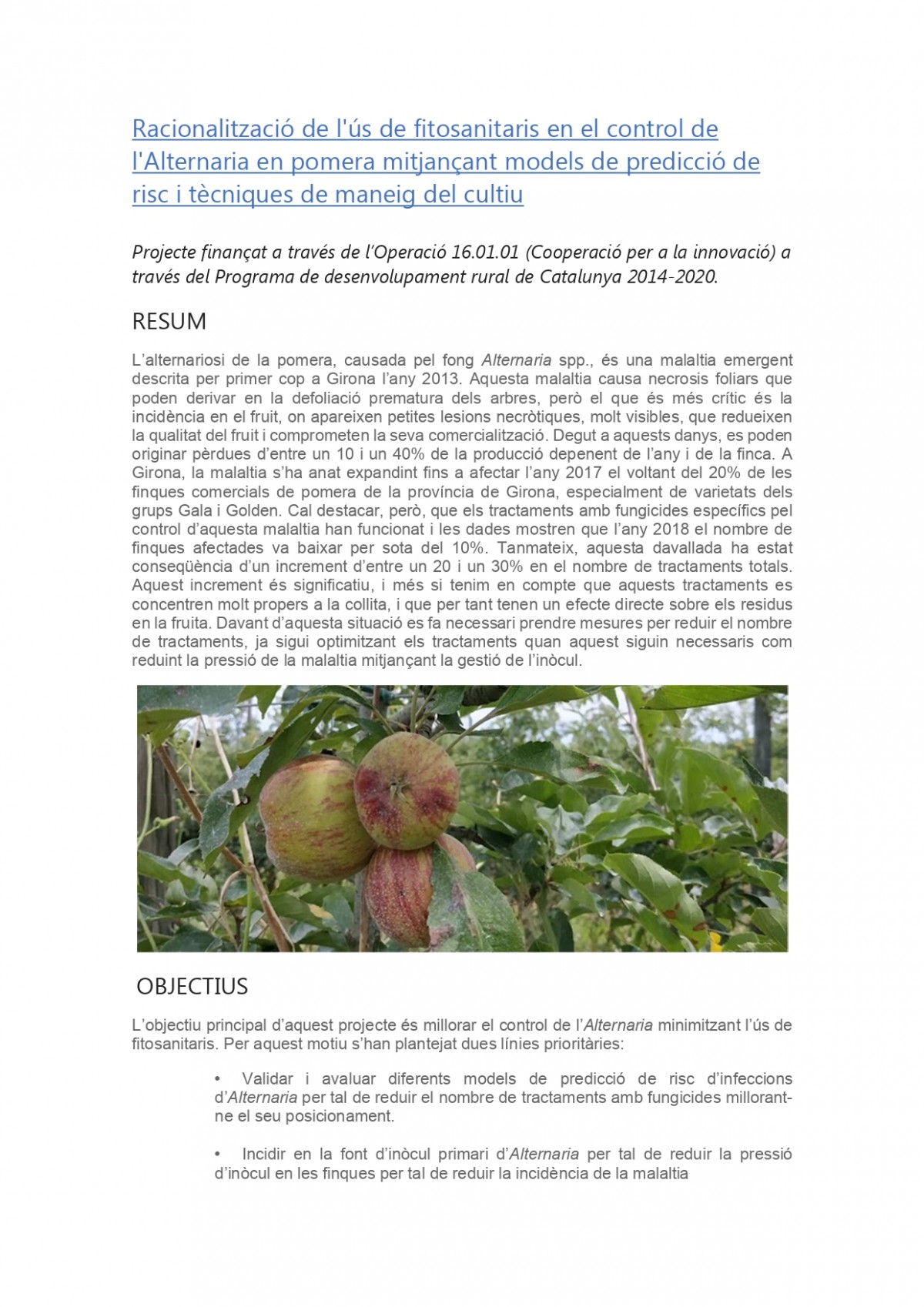 Giropoma Costa Brava participa en un proyecto piloto innovador sobre el control de Alternaria en manzano.