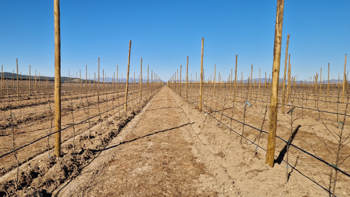 Giropoma starts planting new apple tree farms, which will last until March