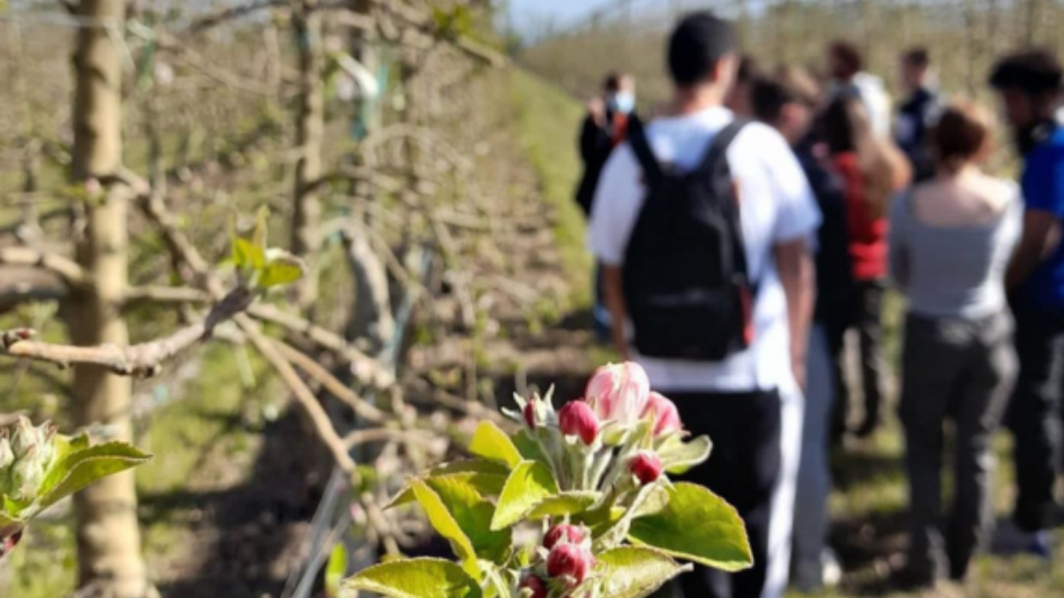 Giropoma apuesta por la formación de los profesionales del sector agroalimentario