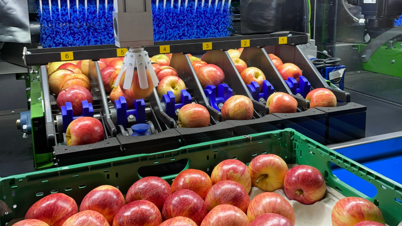 Giropoma starts up a new robotic line for the selection and packaging of its apples