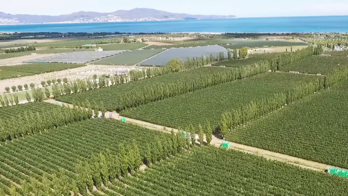 The Giropoma production area, the ideal environment for apple tree growing