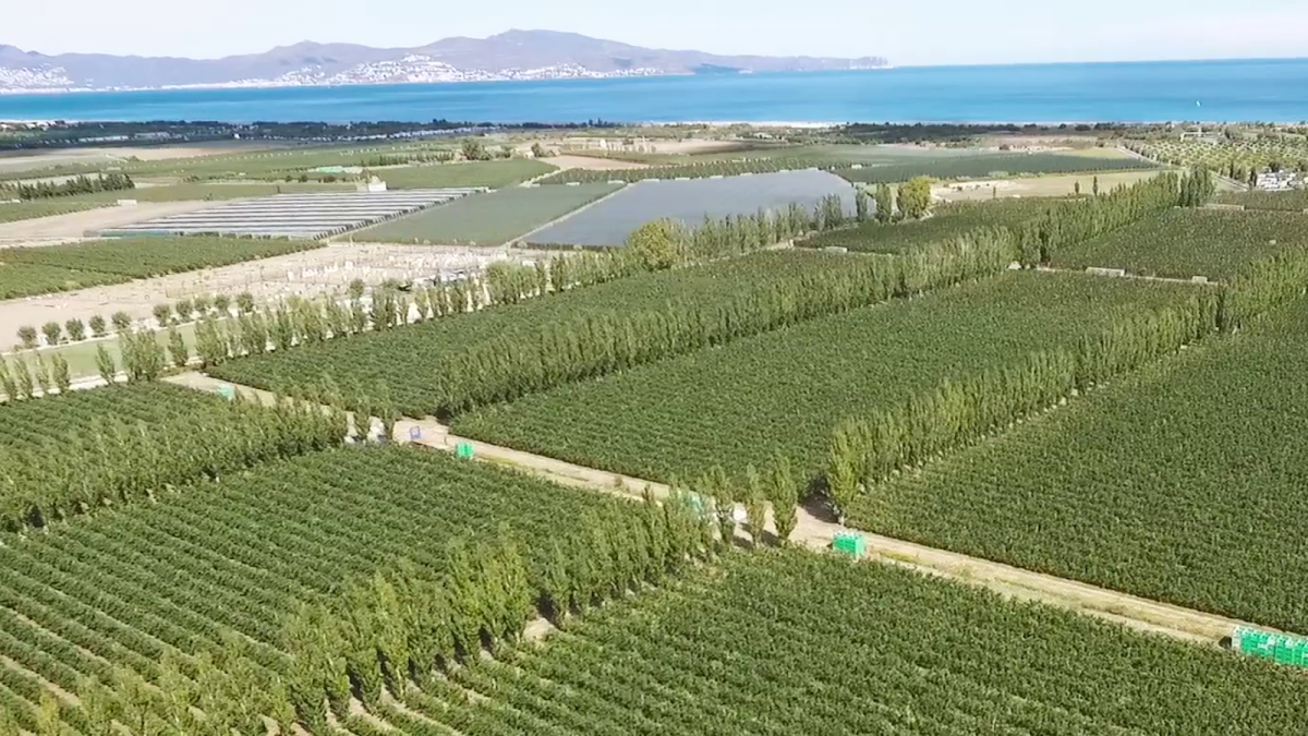 La zona de producció de Giropoma, l’entorn ideal pel cultiu de la pomera