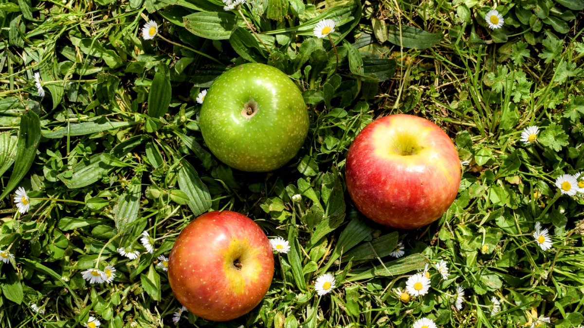 10 idees creatives per incorporar pomes al teu dia a dia