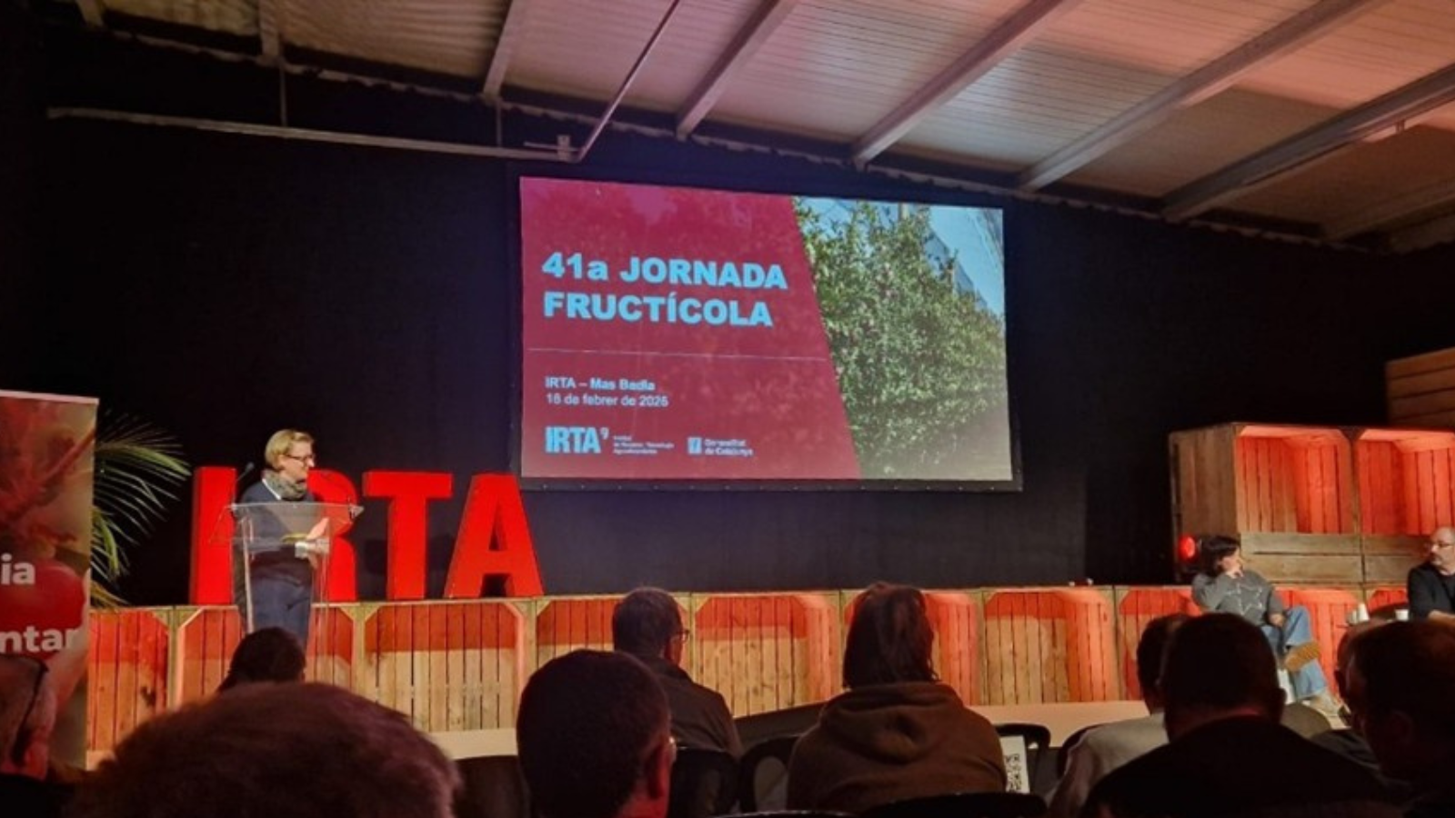 41 jornaa fructicola