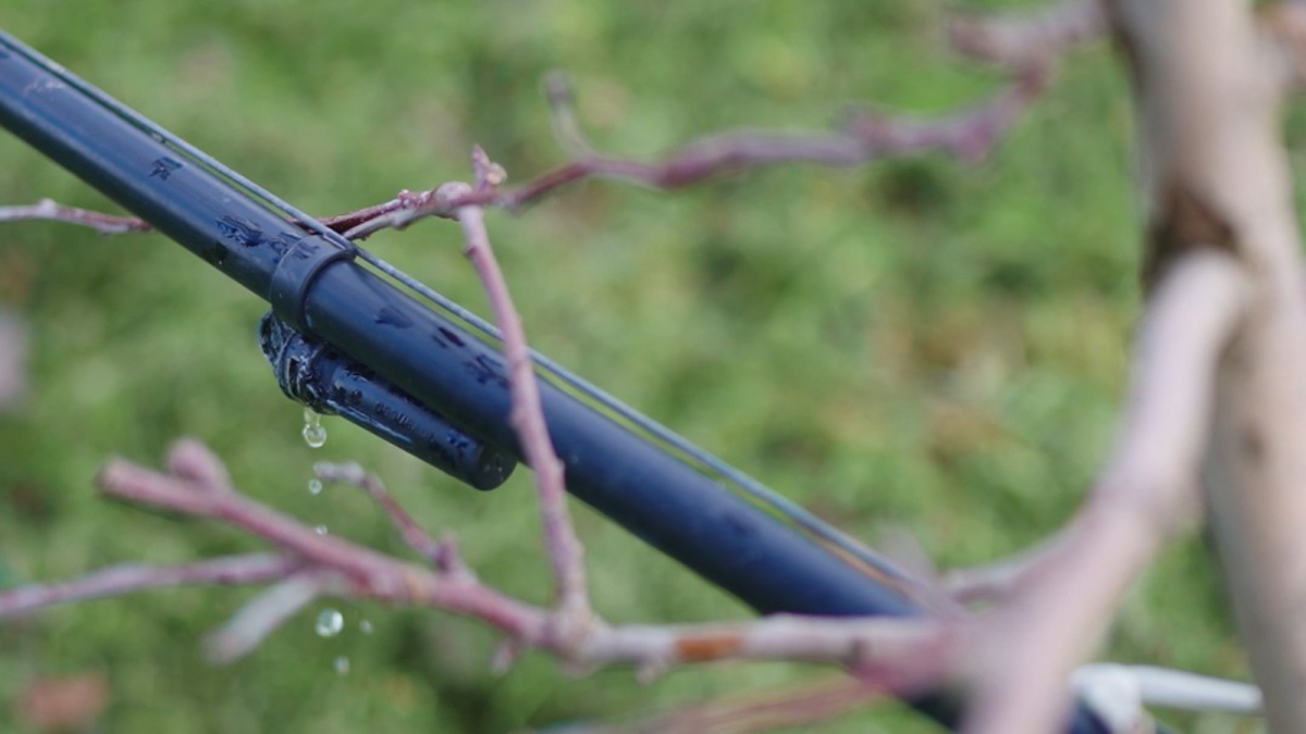 Giropoma obtains SPRING certification to reinforce its commitment to responsible water use